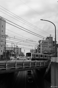 散歩コーススナップ