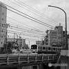 散歩コーススナップ