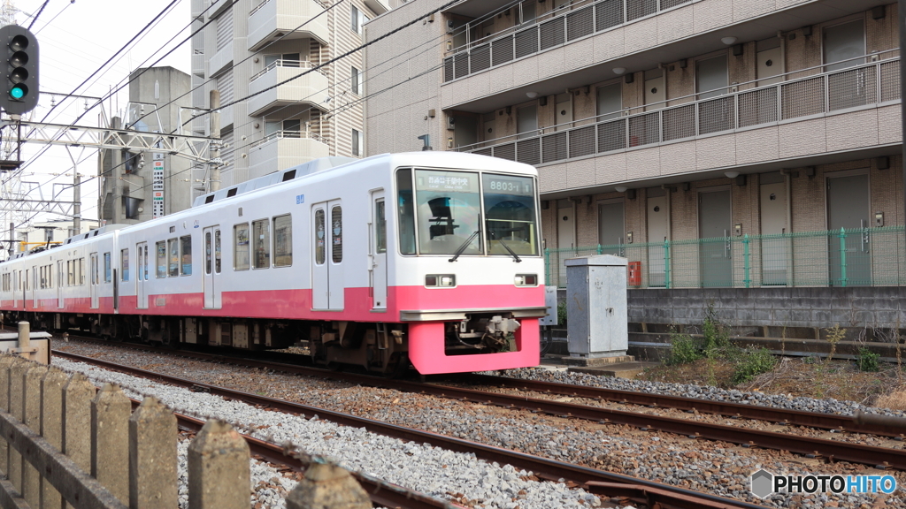 散歩コーススナップ