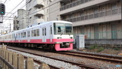 散歩コーススナップ