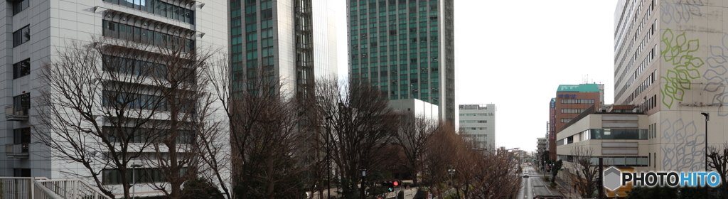 散歩コーススナップ