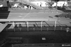 散歩コーススナップ