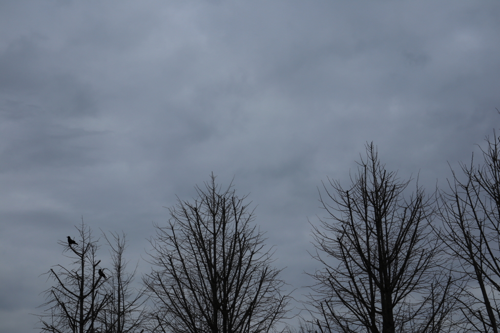 散歩コーススナップ