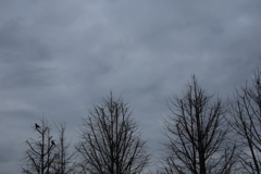 散歩コーススナップ