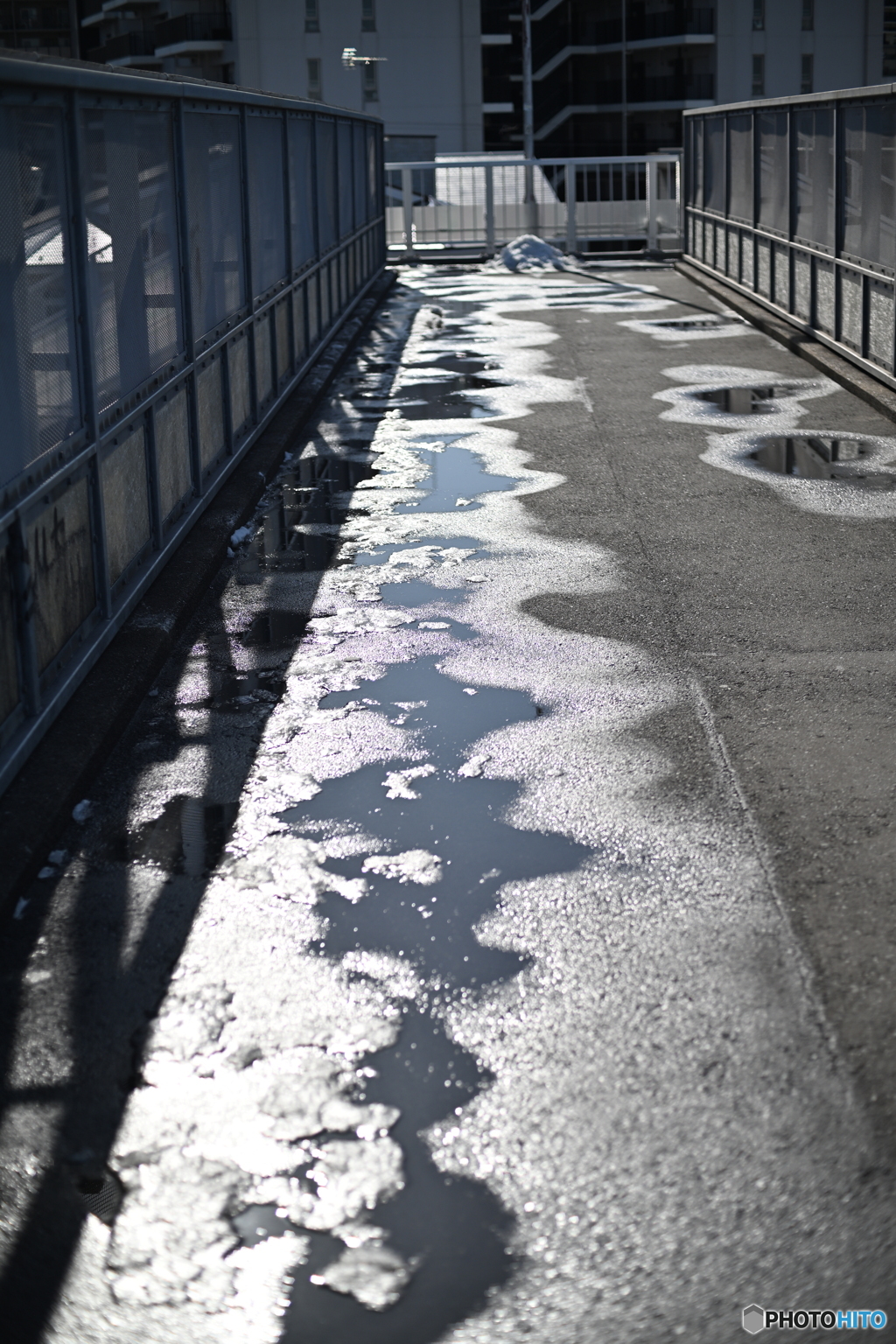 散歩コーススナップ