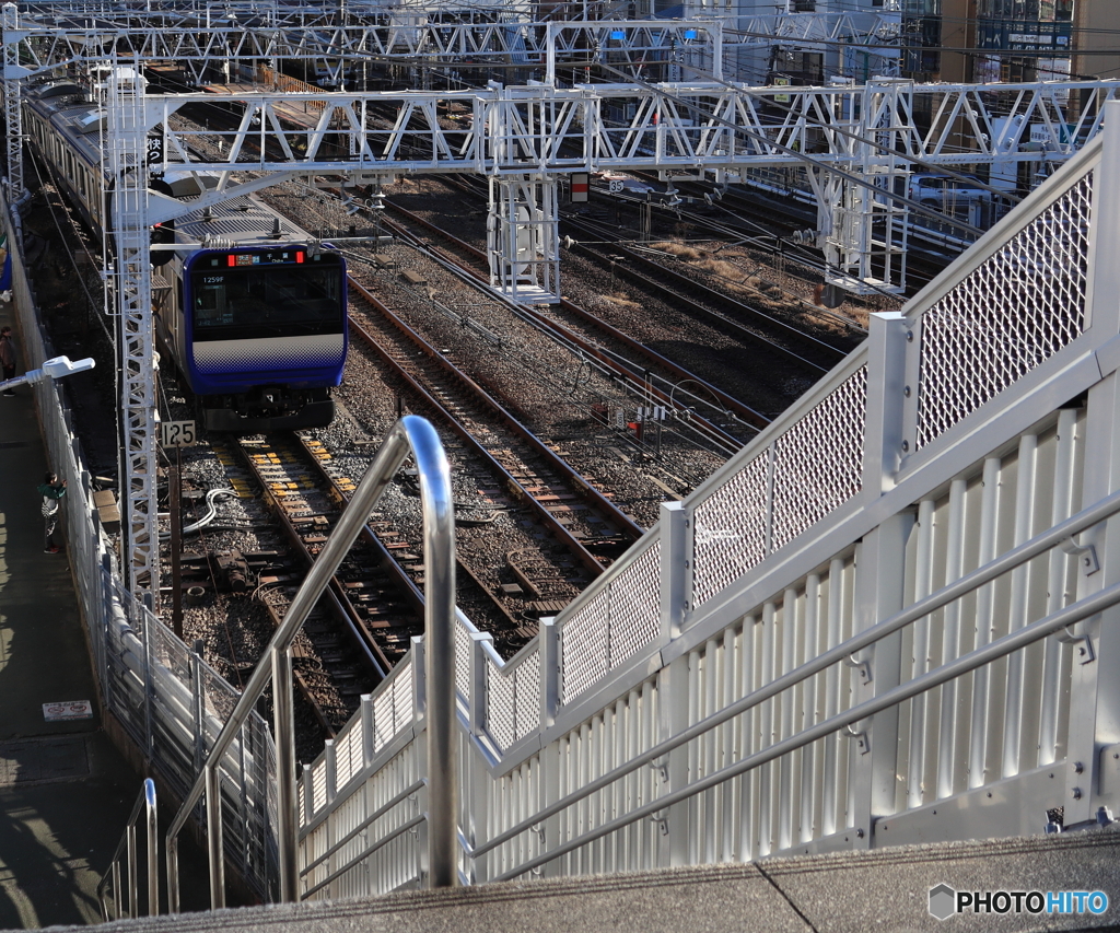 散歩コーススナップ