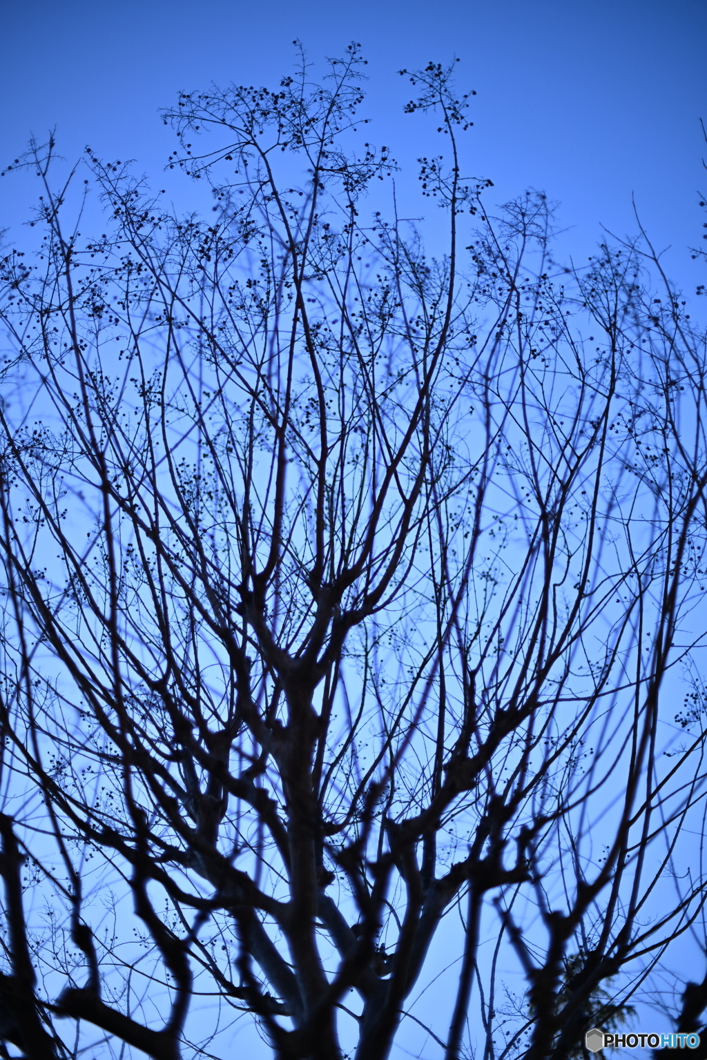 散歩コーススナップ