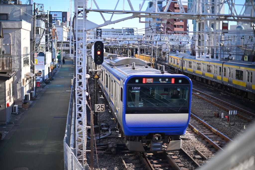 散歩コーススナップ