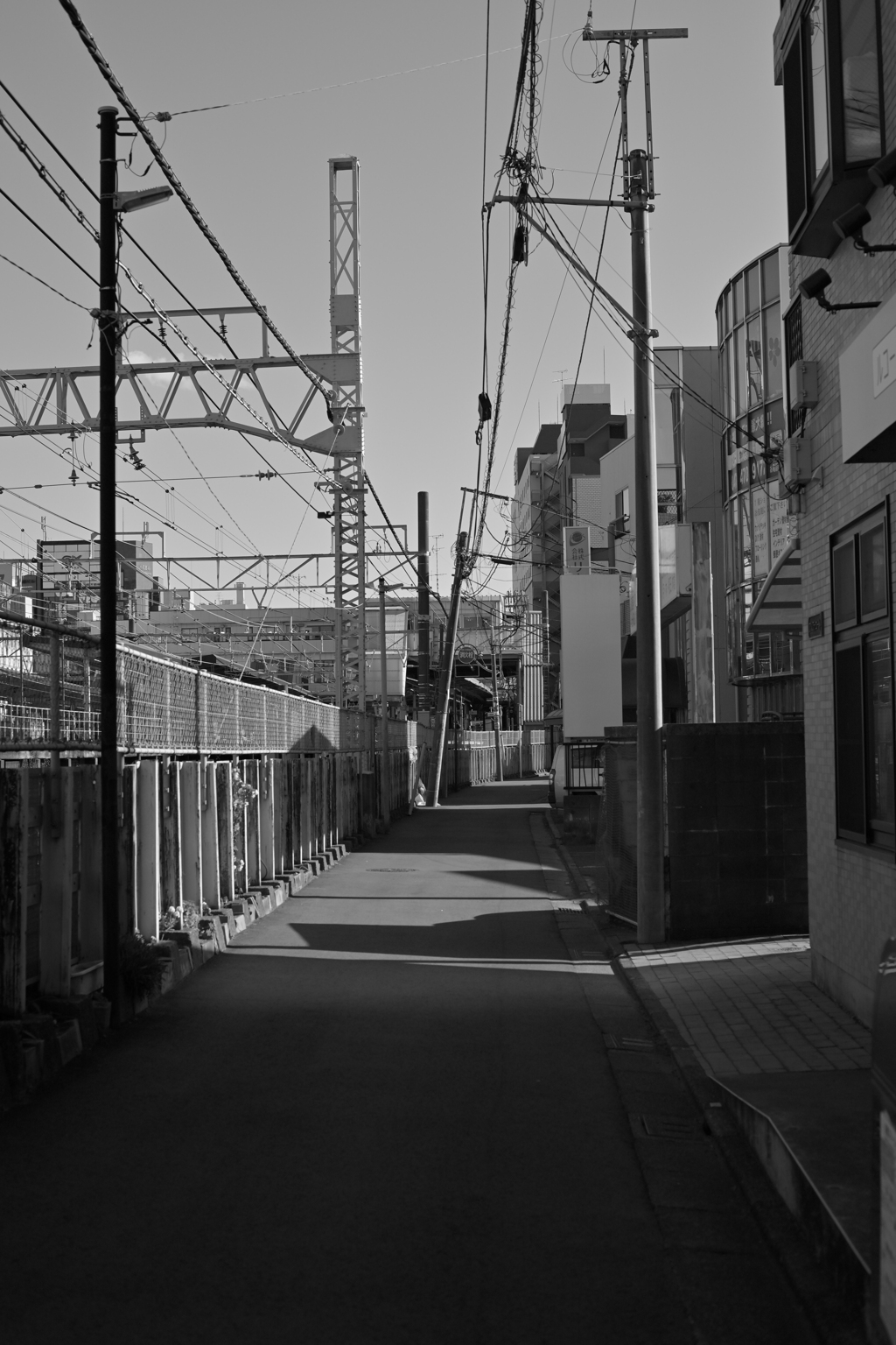 散歩コーススナップ