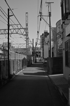 散歩コーススナップ