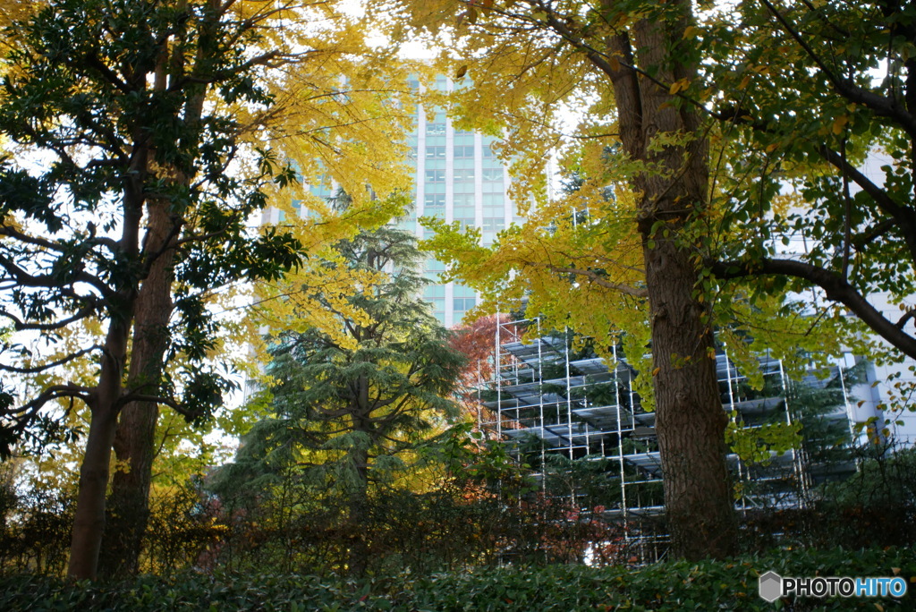 散歩コーススナップ