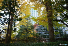 散歩コーススナップ