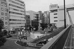 散歩コーススナップ