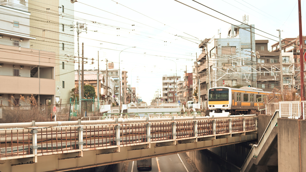 散歩コーススナップ