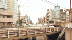 散歩コーススナップ