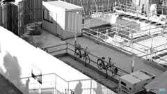 散歩コーススナップ