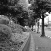 散歩コーススナップ