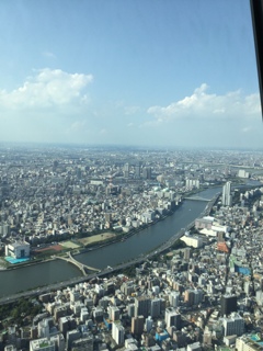 桜橋　