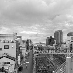 散歩コーススナップ