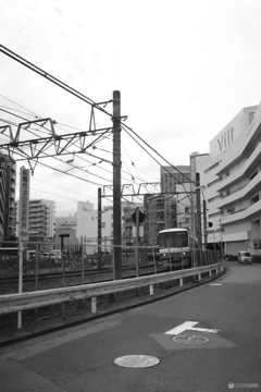 散歩コーススナップ