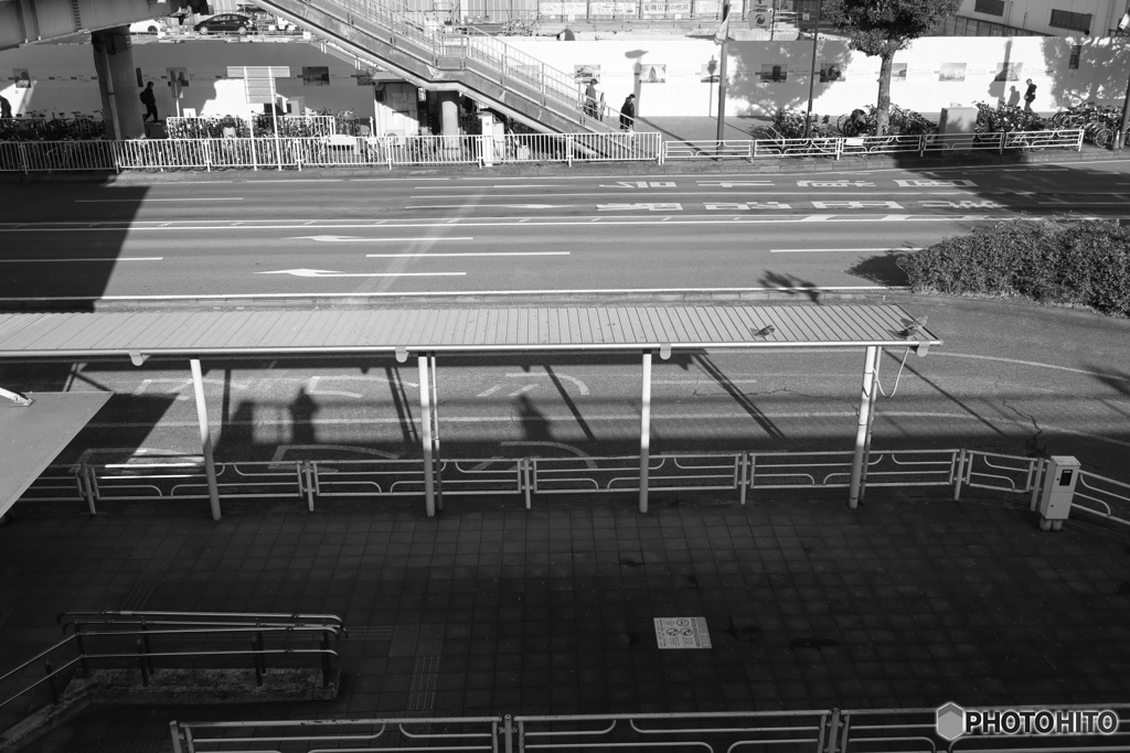 散歩コーススナップ