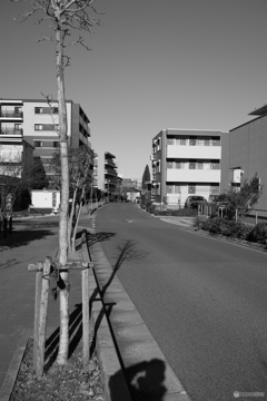 散歩コーススナップ