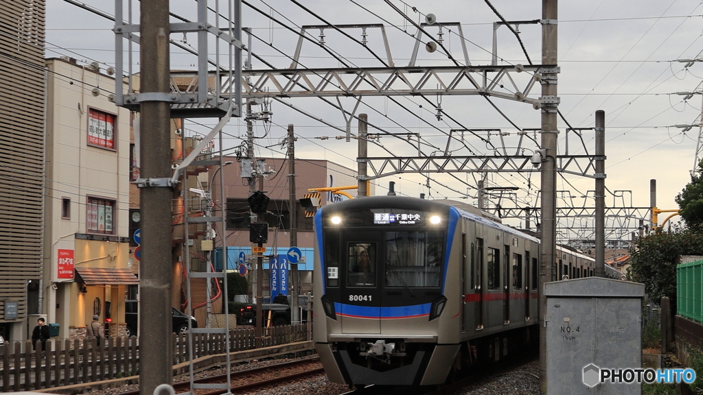 散歩コーススナップ