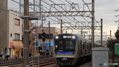 散歩コーススナップ