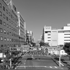 散歩コーススナップ