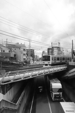 散歩コーススナップ