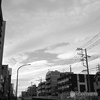 散歩コーススナップ