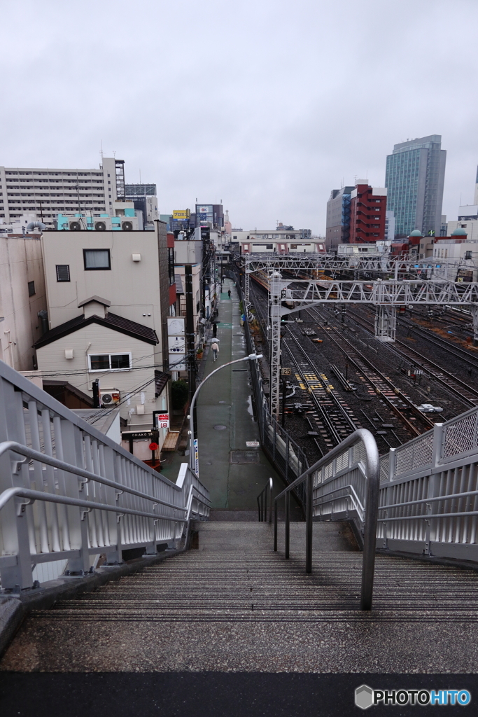 散歩コーススナップ