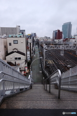 散歩コーススナップ