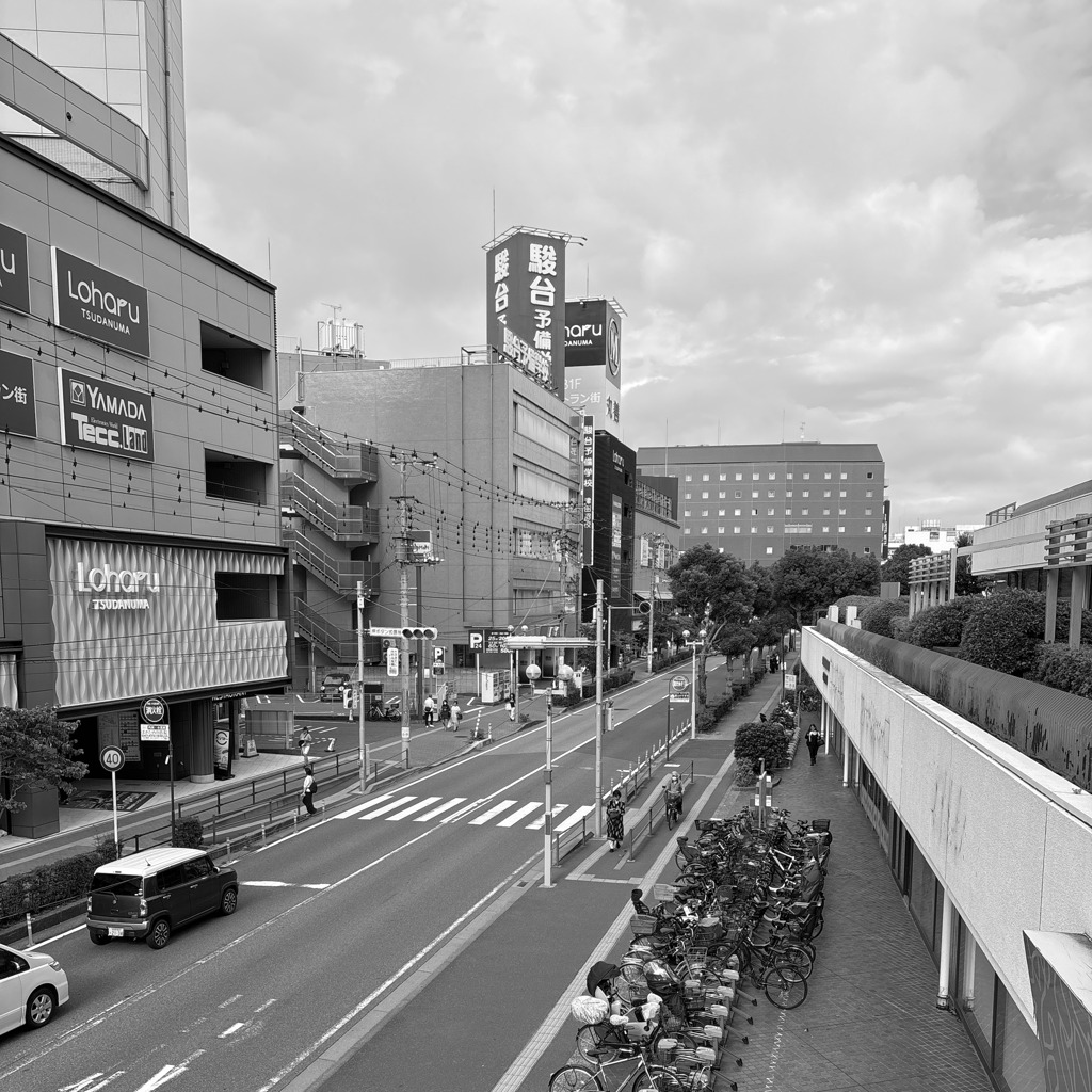 散歩コーススナップ