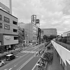 散歩コーススナップ