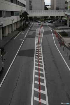 散歩コーススナップ