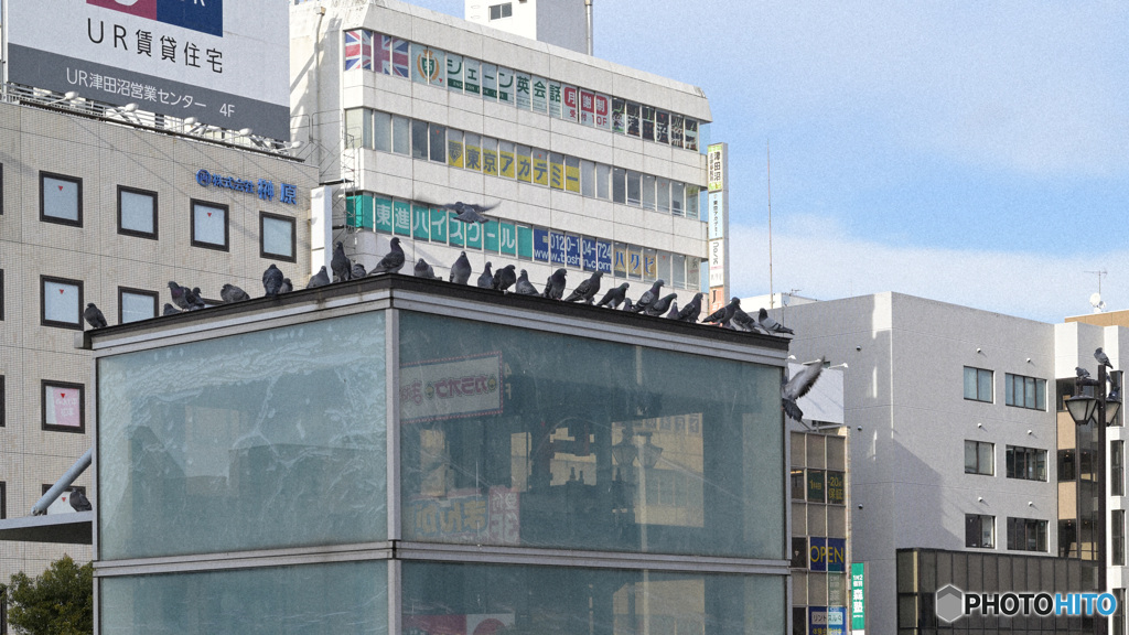 散歩コーススナップ