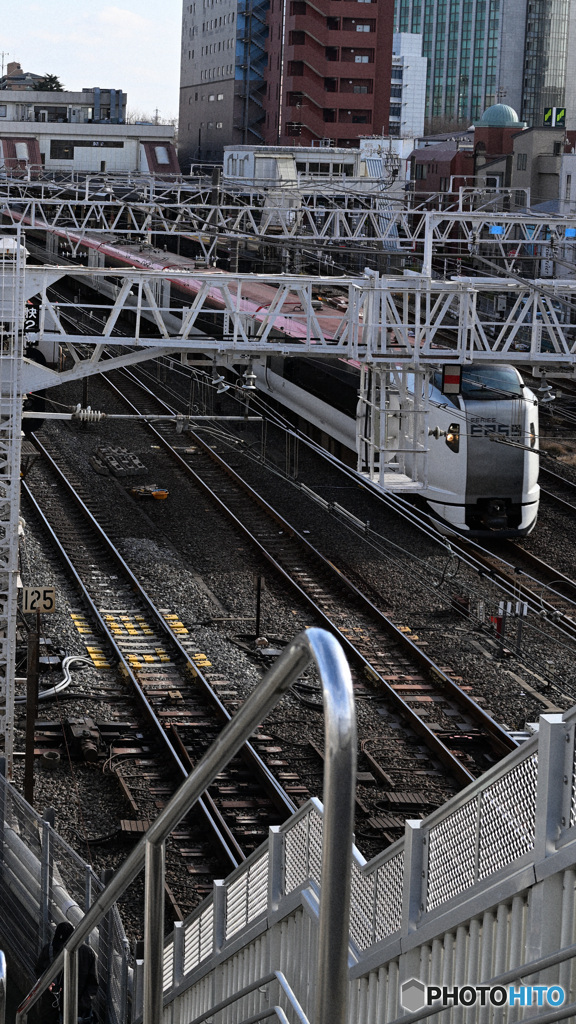 散歩コーススナップ