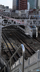 散歩コーススナップ