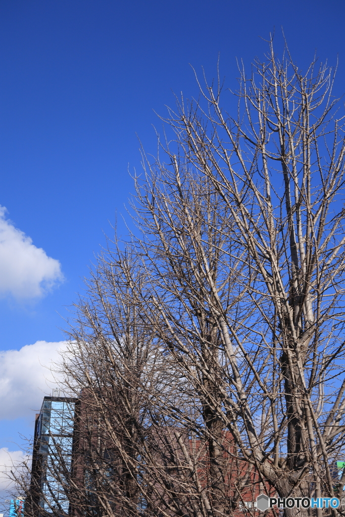 散歩コーススナップ