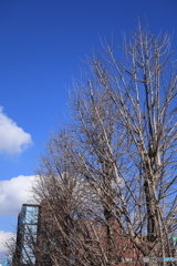 散歩コーススナップ