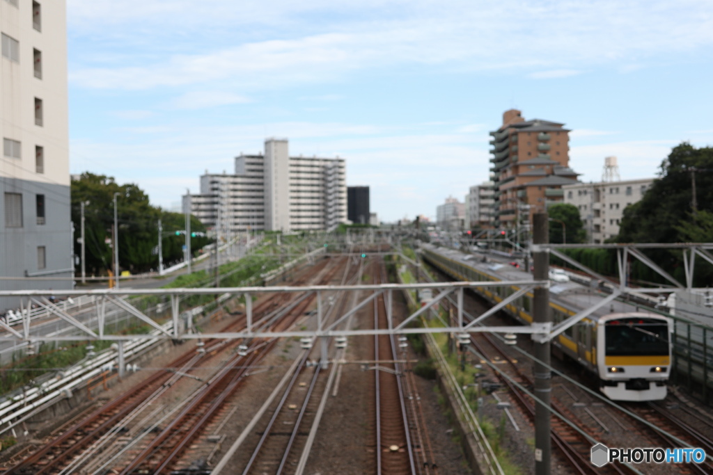 散歩コーススナップ
