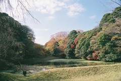 皇居内　池
