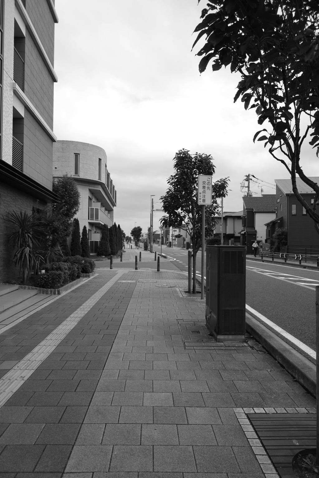 散歩コーススナップ