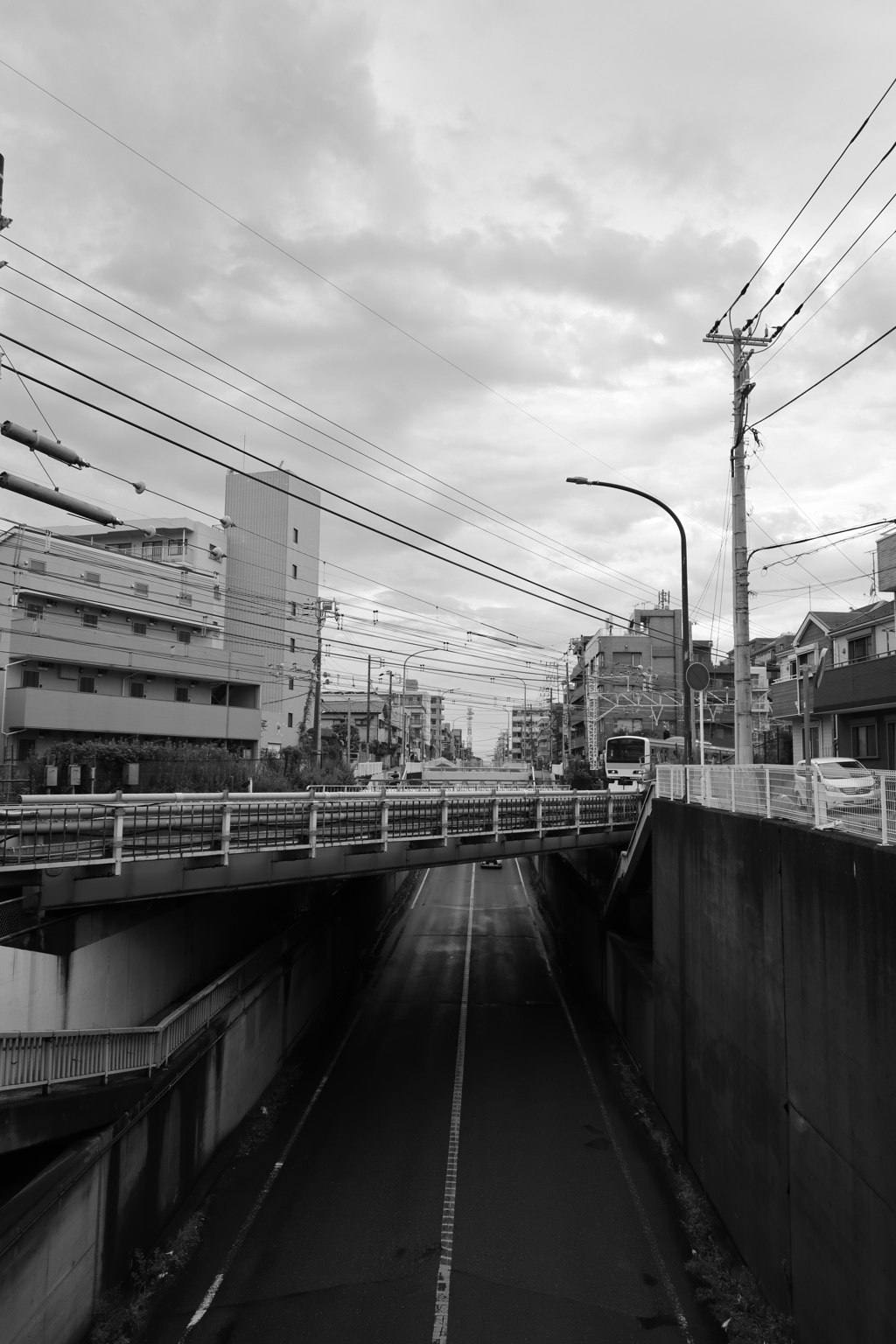 散歩コーススナップ