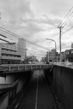 散歩コーススナップ