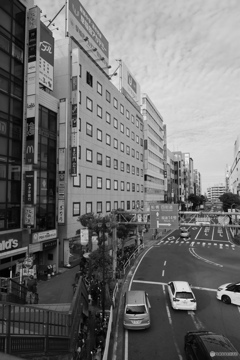 散歩コーススナップ