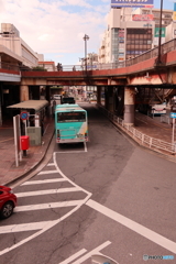 散歩コーススナップ