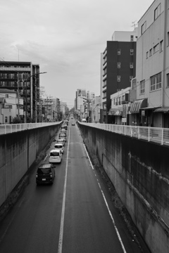 散歩コーススナップ
