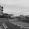 散歩コーススナップ